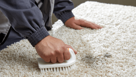 Professional Rug Cleaning Officer